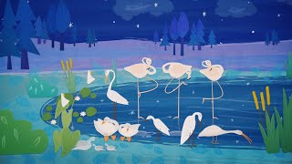 Video voorbeeld van "El cisne que ladra - Canciones para Soñar | Petits Habitants"