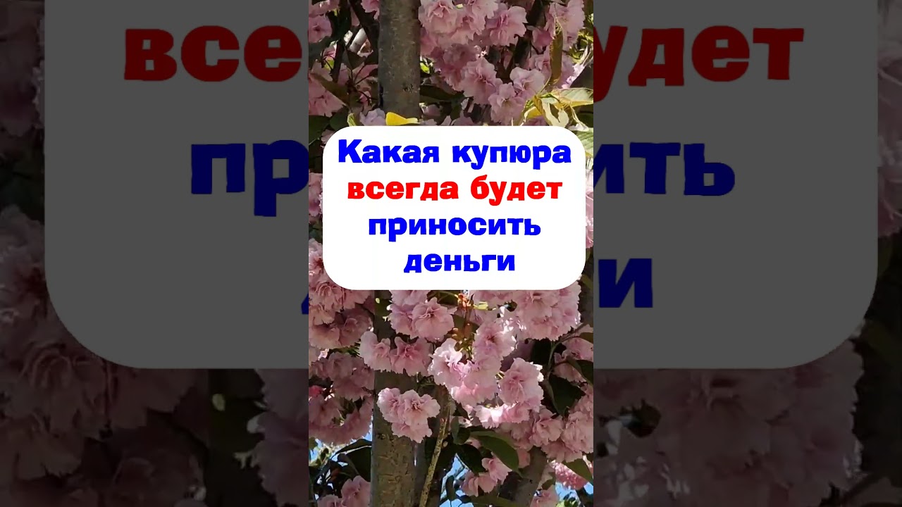 Какая купюра всегда будет приносить деньги