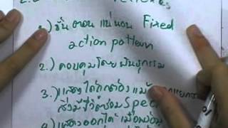 ormBio 084 : ระบบในร่างกาย2 ,ตอน09