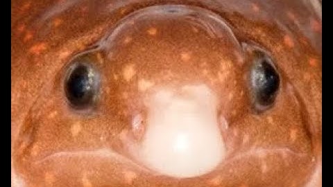 Theory of every v2 (Geometry dash) 100% by Neptune [easy demon]