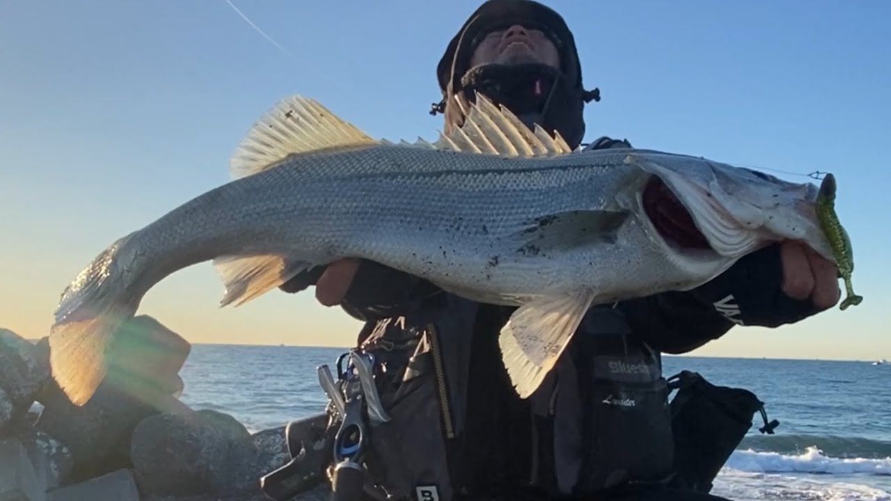 【爆沸き】真冬のサーフで極上の魚を釣る男