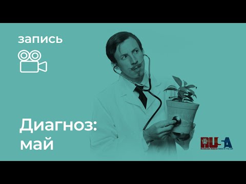 Видео: Александр Литвин: диагноз - май