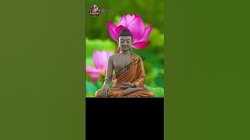 3 Điều Phật Dạy Làm Ngay Khi Stress - Hiệu Quả Sau 5 Phút