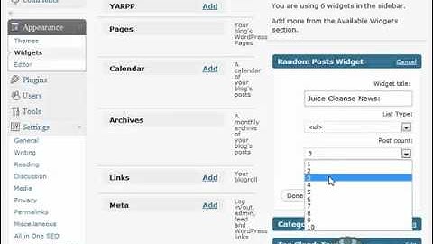 Crowd Mountain Bootcamp Module 02 Step 14: Random Posts Widget