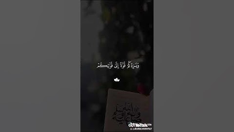 احترام القران الكريم 20ثانية