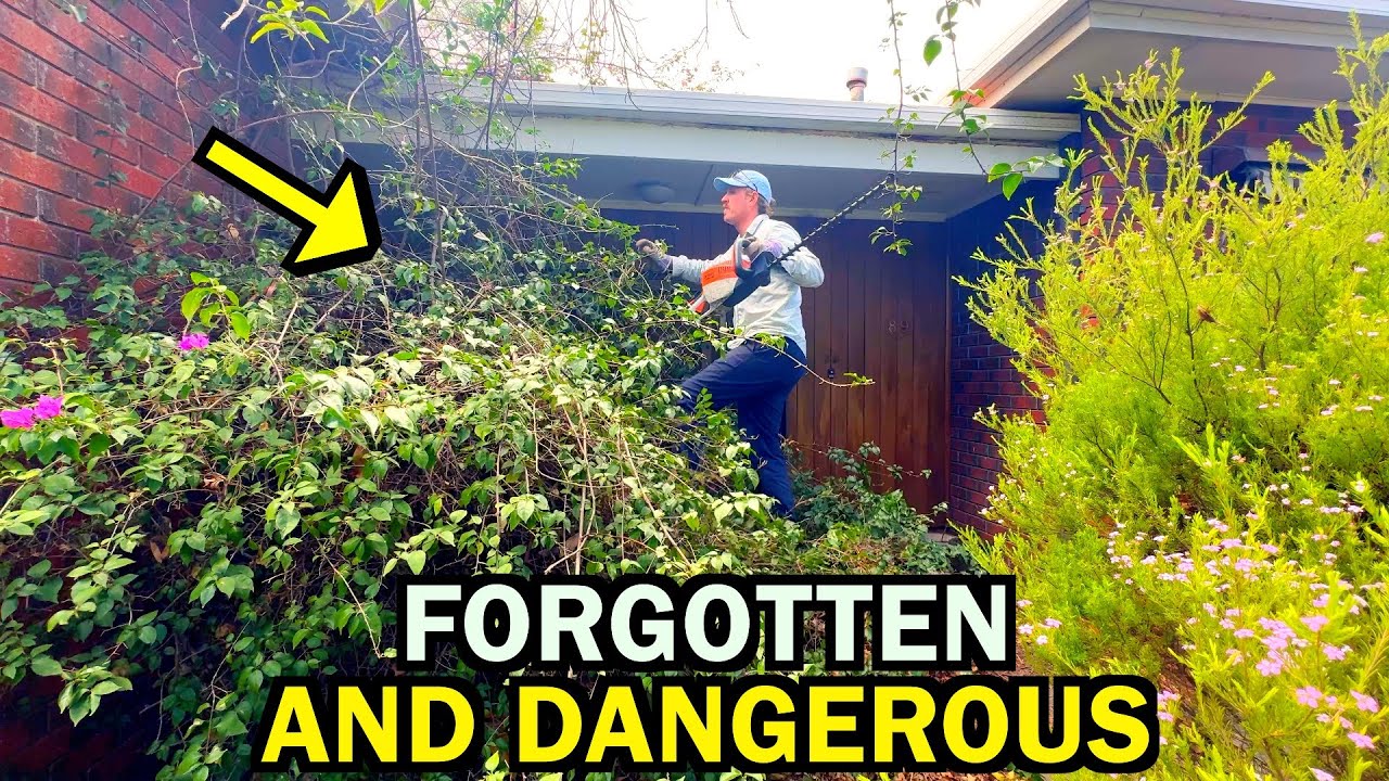 Senior Citizen INJURED by This Hazardous EYE SORE - You Won’t Believe the Transformation!