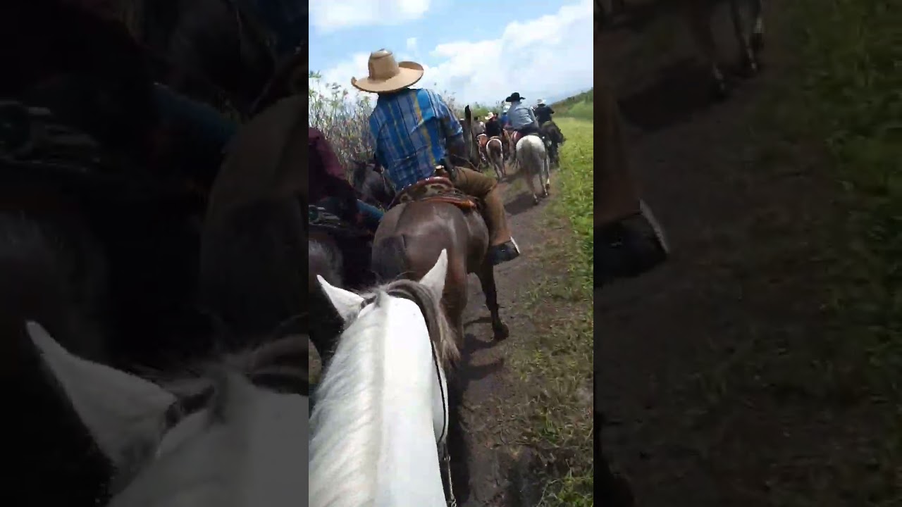 cabalgata a tarejero