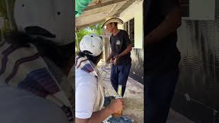 FRIJOLITO TIENE JODIO A TÍO CARLOS 😂😂 #humor #comedia #viralshort