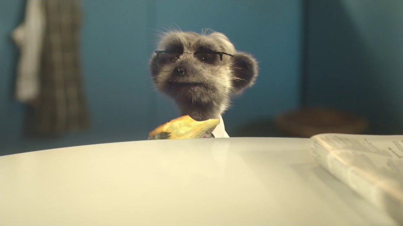 Compare the Market Meerkat Office butter bandit TV Commercial 2016