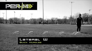 Quick Hurdles // Lateral W