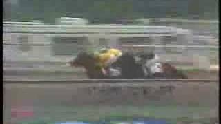 1988 Preakness Stakes