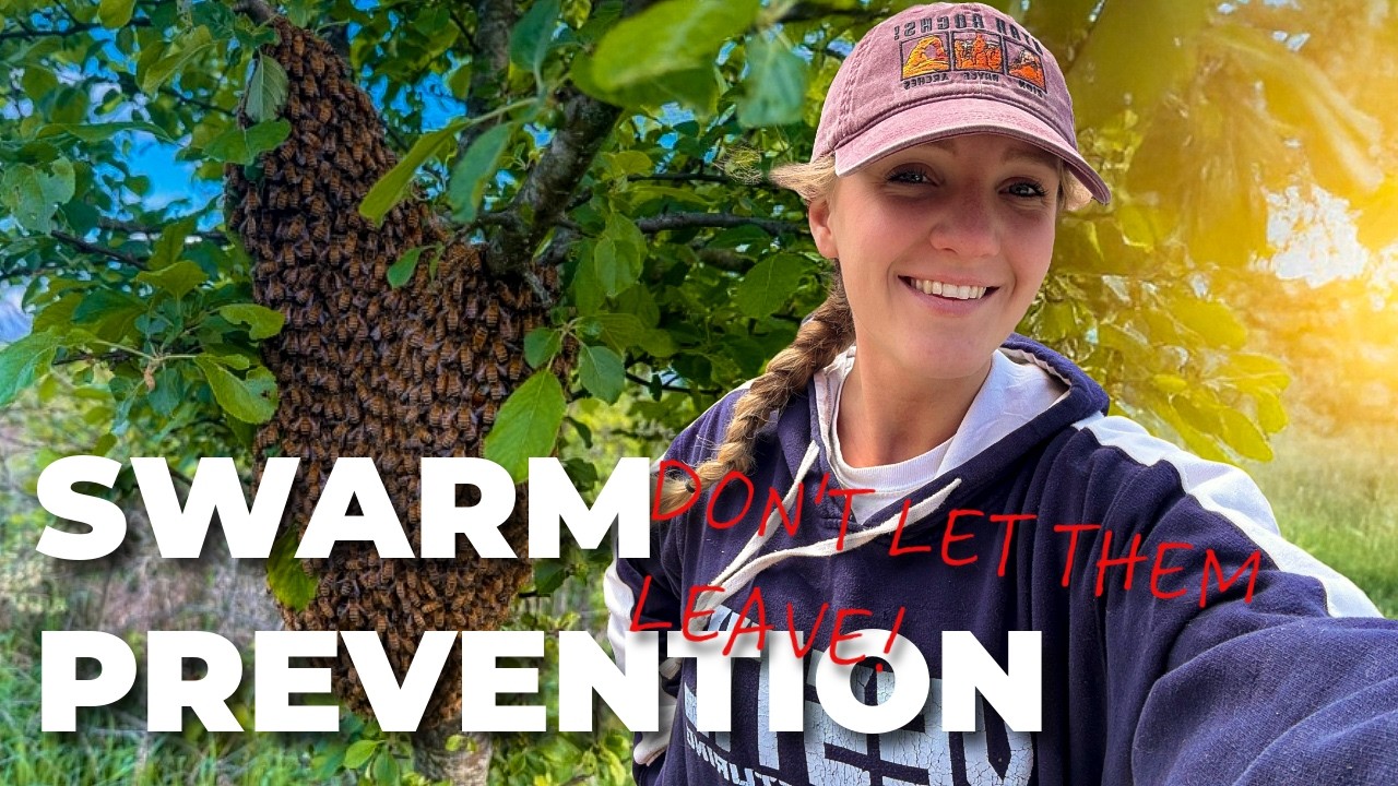 STOP Losing Your Bees! Proven Tricks to Prevent Swarming! / Beekeeping ...