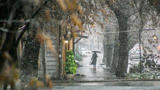 Сильнейшие холода накроют Москву и Подмосковье
