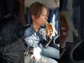 お昼休憩 #ダンプ運転手 #作業着女子 #アラサー女子 #現場女子 #ワークマン女子 #家族経営 #ワークマン #作業着 #アラサーの日常