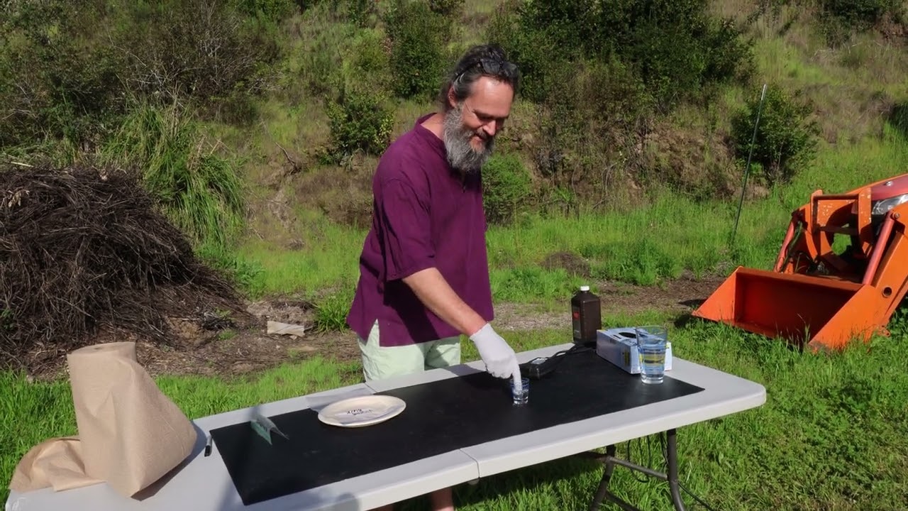 Germinating Cannabis Seeds - For our 2025 Landrace Cannabis Botanical Garden 4/6/25