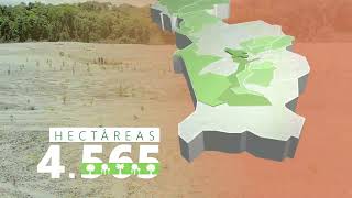 Proyectos De Restauración Chocó