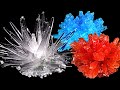 How To Make Coloured ADP Crystals? DIY Science Experiment! | CaptainScience