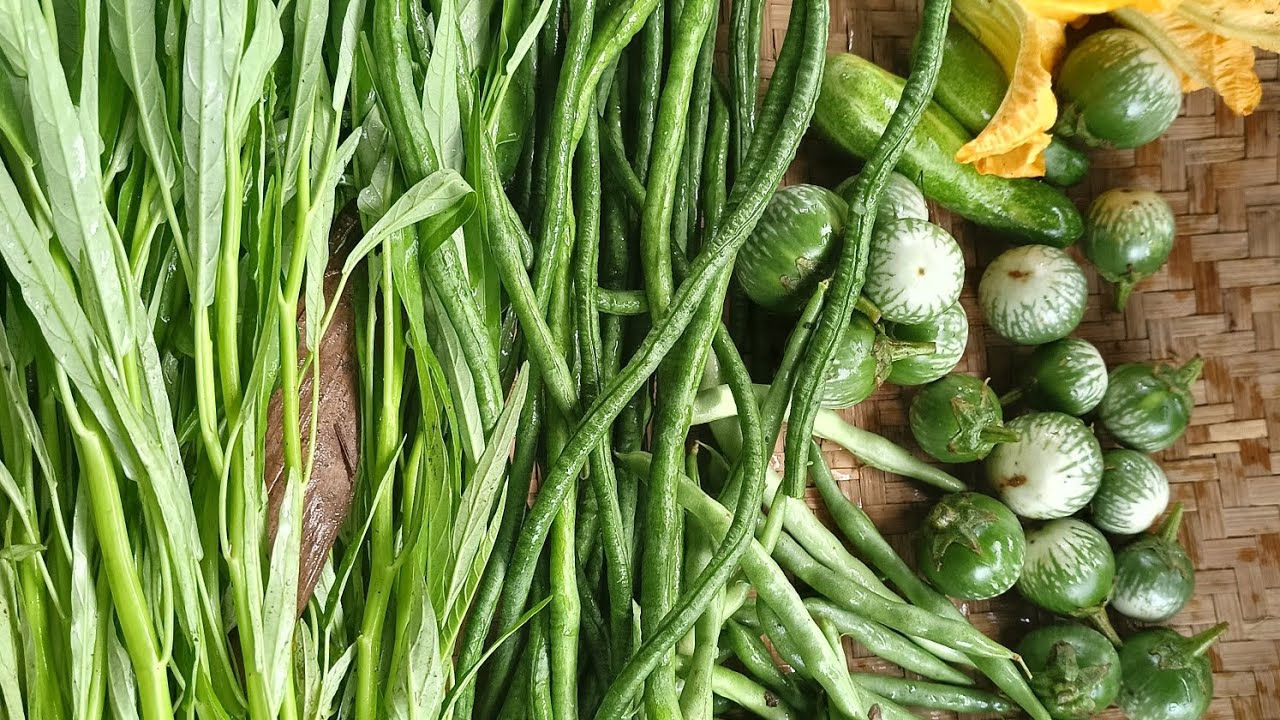 Petik sayur di belakang rumah 