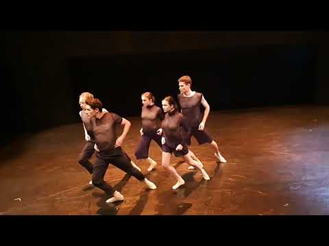 Vídeo: Com Dissenyar Un Programa De Formació De Dansa Per A Principiants