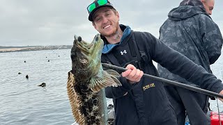30+ LING COD in ONE DAY!!! Central Coast 