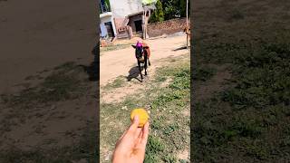 Meri gaiya aati hai mujhko doodh pilati hai #merigaiyaaatihai #cowvideos ##gaiyamerigaiya #cow #cows
