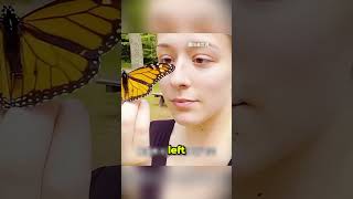 This Butterfly Family Came Back to Thank the Girl Who Saved It