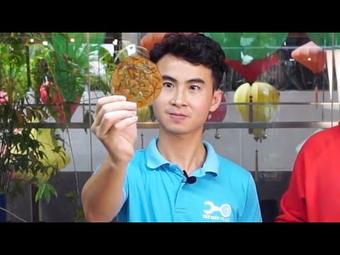Video Mỳ gói ăn cả vỏ - Nhựa ăn được - Bio Plastic - youtube