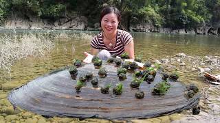 Country Girl's Pearl Adventure: Mysterious Clam Reveals Treasure in the Heart of the Forest