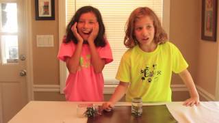 NEW challenge! -- Surface Tension challenge -- STEM