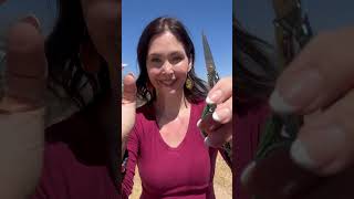 Cord Cutting To Remove Negative Ties From Past Present And Future Timelines