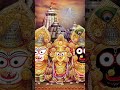 "Rath yatra is coming! Jai Jagannath"