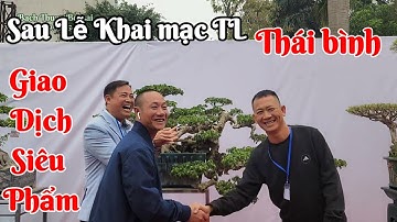 Tin mới ! Nổ.. Hàng loạt tác phẩm Bonsai ngay sau lễ khai mạc TL Thái bình