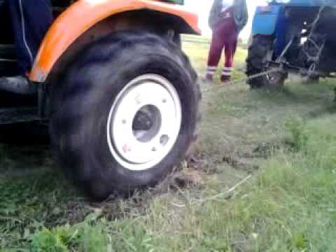 сінтай 180 бере донгфенга 244