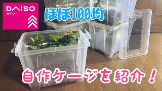 ほぼダイソー！10匹以上クレスを飼育する男の100均製自作ケージ - YouTube
