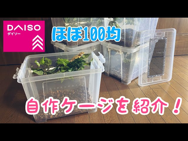 ほぼダイソー！10匹以上クレスを飼育する男の100均製自作ケージ - YouTube