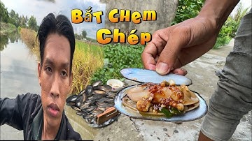 Còn gì ngon bằng khi ra đồng ruộng, Bắt Chem chép nướng mỡ hành | Nam miền tây hg