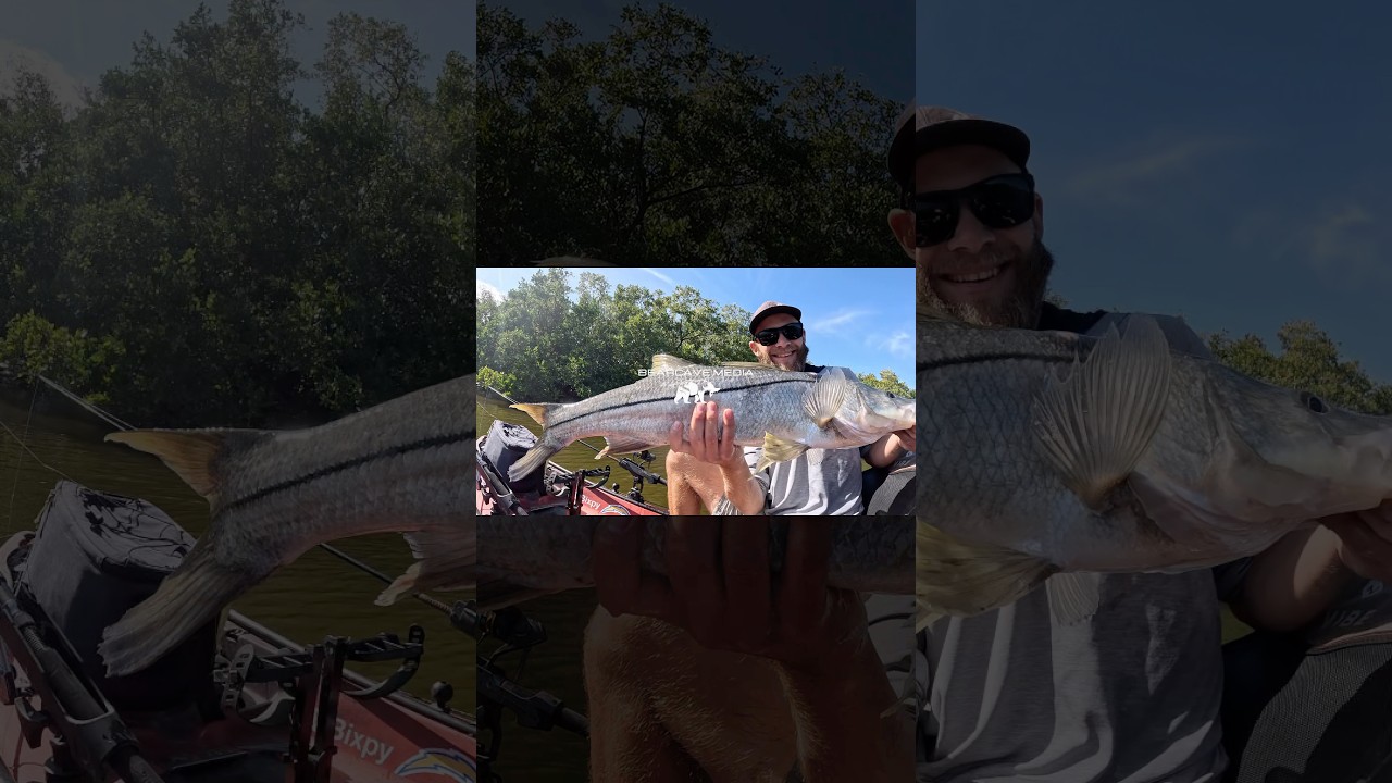 Sight casting a 35&rdquo; Snook on artificial! #fishing #floridafishing #inshorefishing
