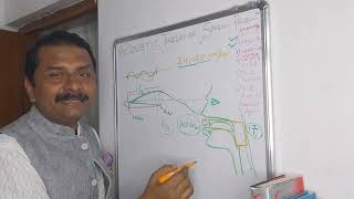 ACOUSTIC  THEORY OF SPEECH  PRODUCTION