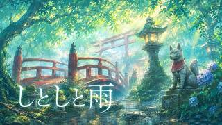 [環境音/ASMR]しとしと雨の梅雨の森/雨の音、森の音