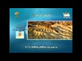 الشيخ عبدالمنعم الطوخي الواقعة 1 إلى 18 الشيخ عبدالمنعم الطوخي الواقعة 1 إلى 18