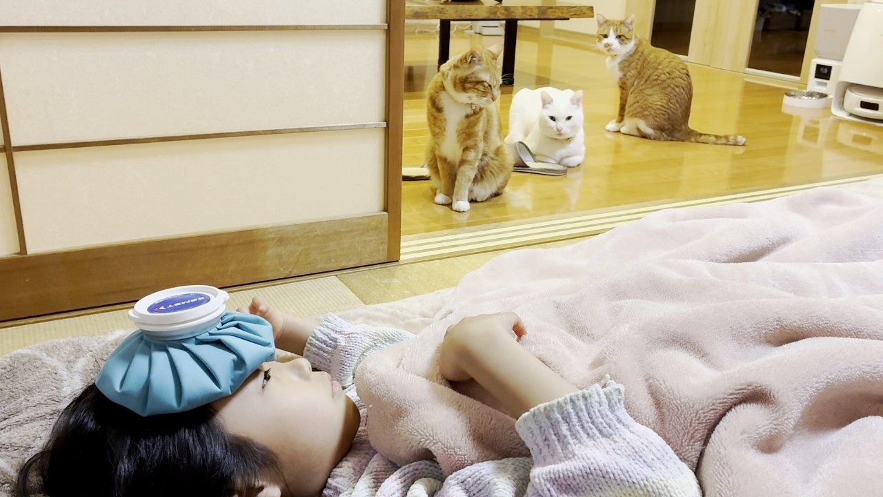 感動】発熱で寝込む娘の傍から離れない三兄弟猫達が尊すぎた！［猫と