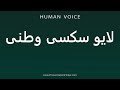 How To Pronounce لایو سکسی وطنی 