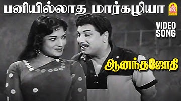 Paniyillatha Margazhiya - HD Video Song | பனியில்லாத மார்கழியா | Anandha Jodhi | MGR | Devika