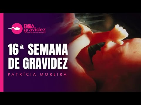16 SEMANAS DE