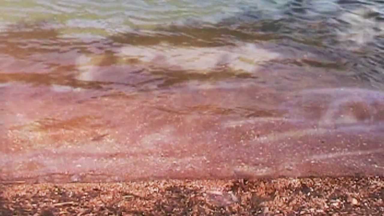 george christian - união (aos rios urbanos)