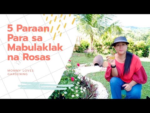 Video: Paano Panatilihing Mas Matagal Ang Mga Rosas
