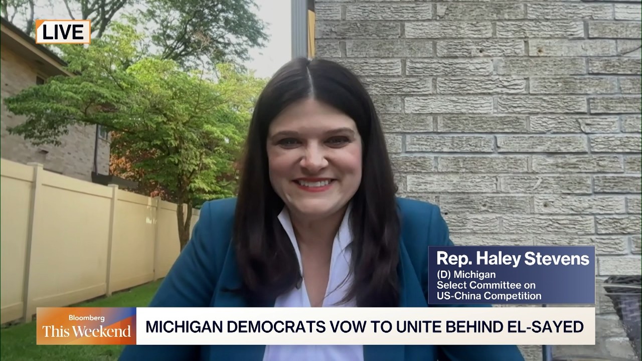 After Bitter Michigan Primary Stevens Backs El-Sayed