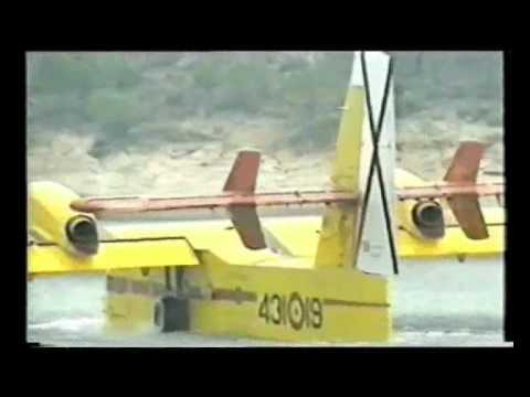 43 Grupo 2004