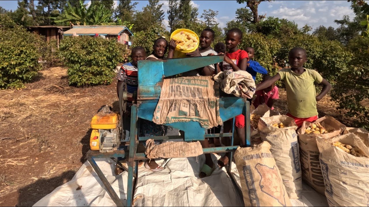 Threshing our maize using a machine , buying mutton meat and greengrams cooking dinner for the kids 