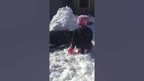Fun in the snow
